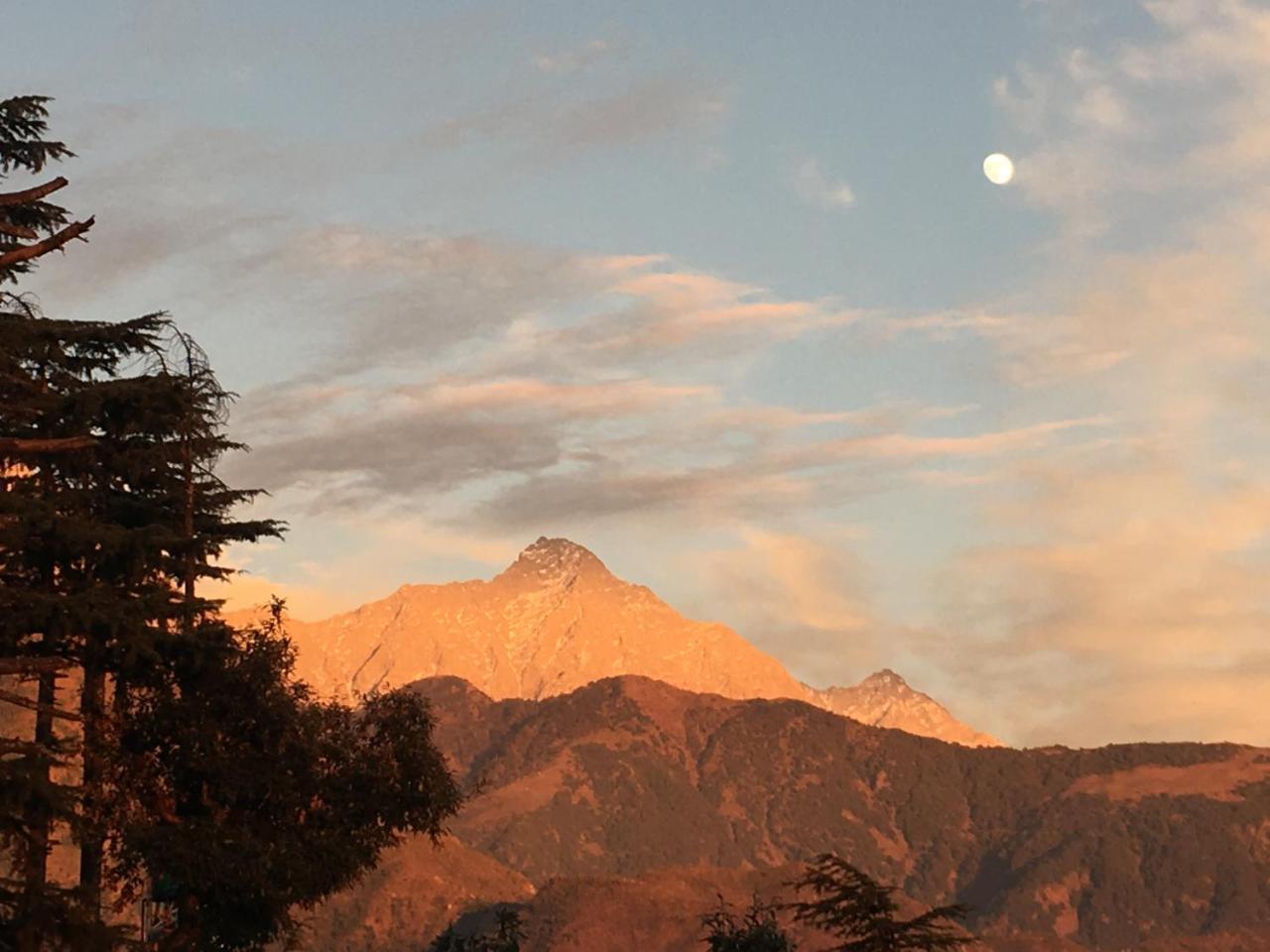 Hotel Norbu House McLeod Ganj Exterior photo